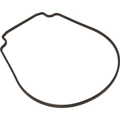 Gasket,Pentair Purex IntelliFlo VS,Seal Plate, Special ID/OD 35-102-3074