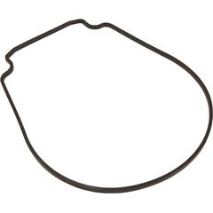 Gasket,Pentair Purex IntelliFlo VS,Seal Plate, Special ID/OD 35-110-2029