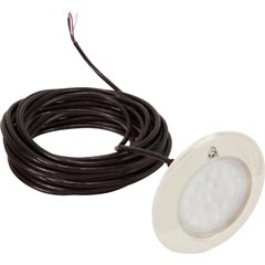 PAL EvenGlow Sm Niche Lt,Cool Wht,12VAC/12VDC/24VDC,150ft 56-330-2140